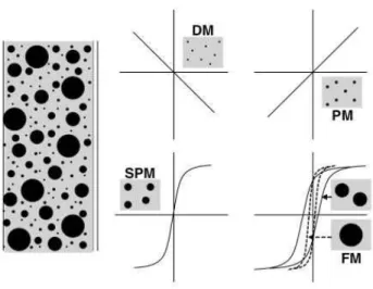 Fig. 2. Magnetic properties are affected by the particle size (DM = diamagnetic, PM = paramagnetic, SPM 