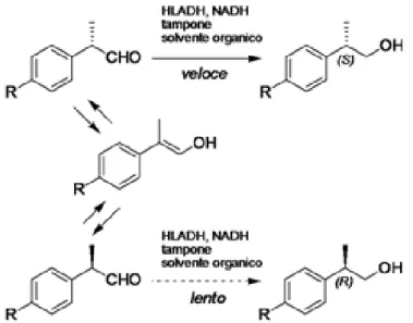 Tabella 3  caso  cosolvente   (%)  durata  (ore)  HLADH   (mg/ml)  resa  (%)  S%  R%  1 a CH 3 CN (10)  5  0,01  71,9  89  11  2 b CH 3 CN (16)  96  0,09  90,3  94  6  3 a THF (10)  5  0,01  54,7  96  4  4 c THF (10)  5  0,01  54,1  95  5  5 a esano (90)  