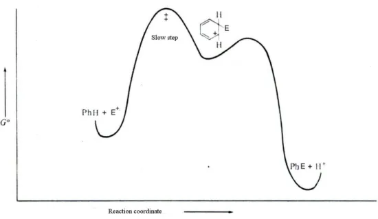 Figure 1. Energetic levels along the reaction coordinates for the electrophilic aromatic  substitution reactions
