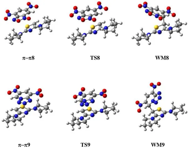 Figure 3. Optimized structures at B3LYP/6-31G(d) level of theory of WMs and the  compounds preceding their formation