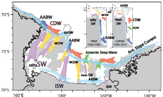 Figure 4: Ross Sea circulation during the last 50 years. Antarctic Surface Water (AASW): 
