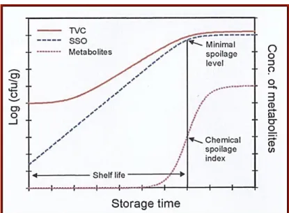 Figure  3.2.  Specific  spoilage  organism  (SSO)  concept.  Typical  changes  in  total  viable  counts  (TVCs),  specific  spoilage  organisms  (SSO)  and  metabolites  produced  by  (SSO) during storage of fresh seafood (Dalgaard, 2000b)