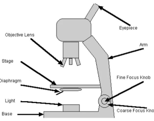 Fig. 1.1: Widefield microscope. Schematic representation of the principal compo- compo-nents