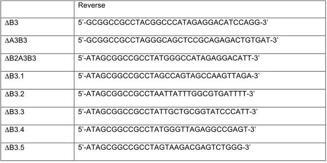 Table 2: ΔB3, ΔA3B3, ΔB2A3B3, ΔB3.1, ΔB3.2, ΔB3.3, ΔB3.4, ΔB3.5 primers  sequences 