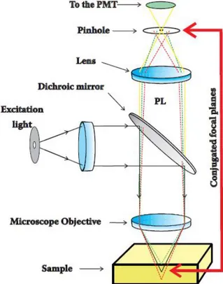 Figure  2.5  Schematic  diagram  illustrating  the  operation  principle  of  a  confocal  microscope