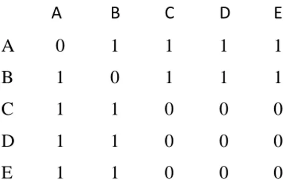 Table 2.1: Matrix directed with dichotomous data 