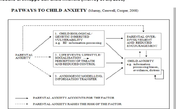 Figura 2 - Modello di sviluppo dell’ansia infantile (Murray et al., 2008) 