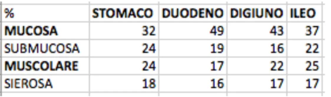 Tabella 4 Rappresentazione schematica della percentuale di contribuzione ecografica dei singoli  strati nelle diverse parti del tratto  gastrointestinale del gatto (Winter and Londoño 2009).