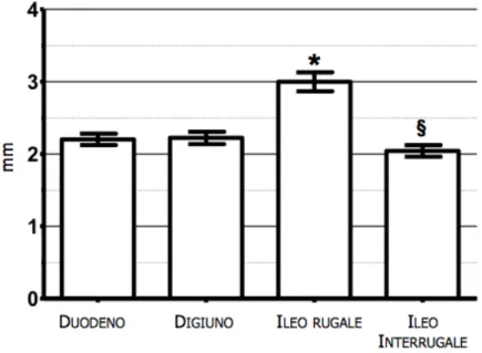 Figura 2.4 Box plots dello spessore della parete totale nei diversi segmenti intestinali