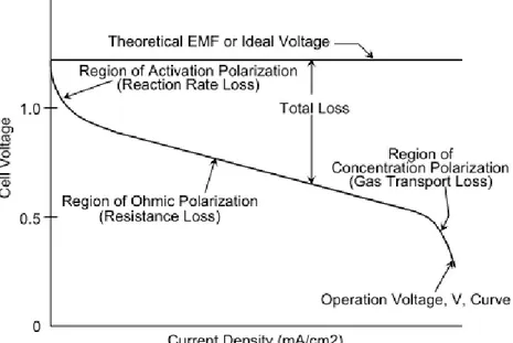 Figura 2.2 – Diagramma densità di corrente/voltaggio che illustra i contributi dei diversi  tipi di polarizzazione presenti in una cella elettrolitica [2]