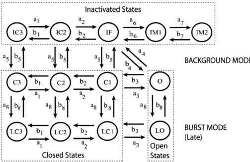 Figure 6. Markov model of the cardiac Na channel. The channel model contains background  (upper nine states) and burst (lower four states) gating modes