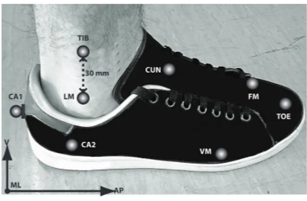 Figure 3 Marker locations for the right foot and shank and the global reference frame
