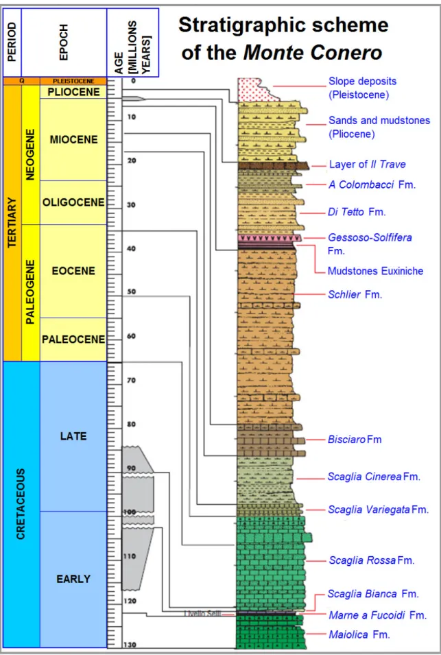 Figure 2-2: Stratigraphic succession of Monte Conero. Modified of Parco del Conero (2011) 