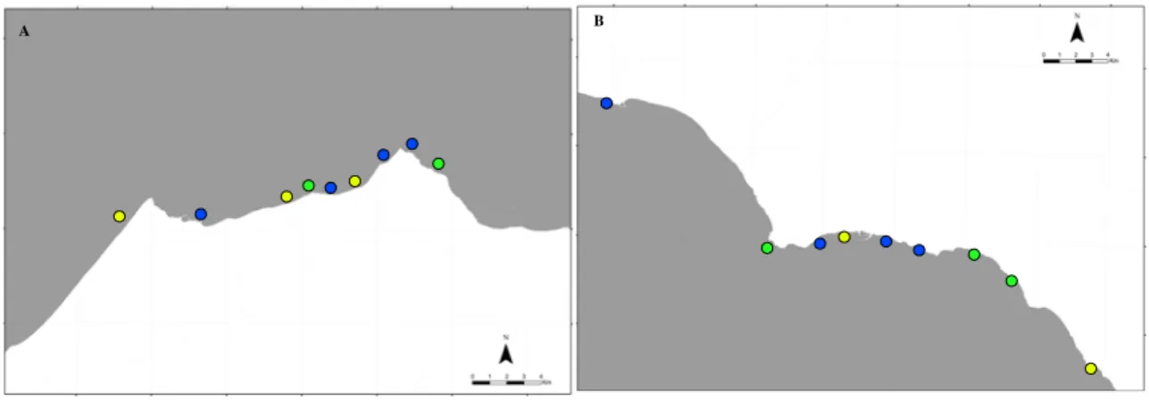 Fig. 3.2. Maps with localization of sampling sites at A) Capo d’Orlando and at B) Sciacca