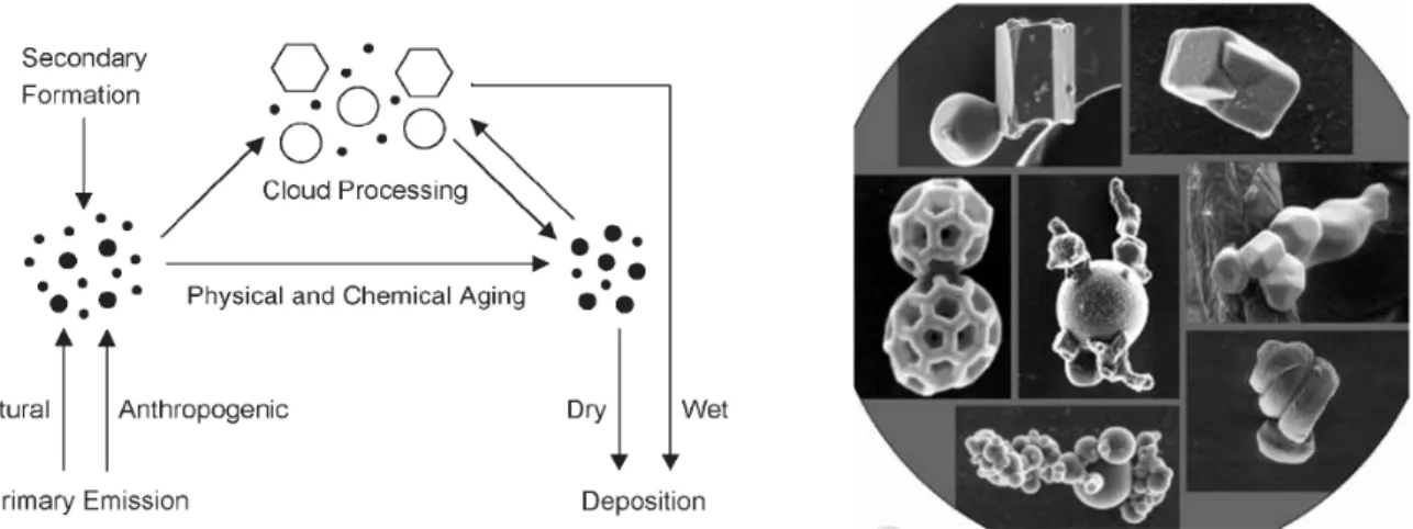 Figure 1.1: Atmospheric cycling of aerosols and examples of common aerosol shapes and compositions as observed by  scanning electron microscopy, SEM (from Poschl, 2005)