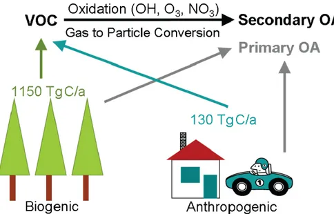 Figure 1.5: Sources of organic aerosol particles. Emission rates are taken from (Guenther et al., 1995)