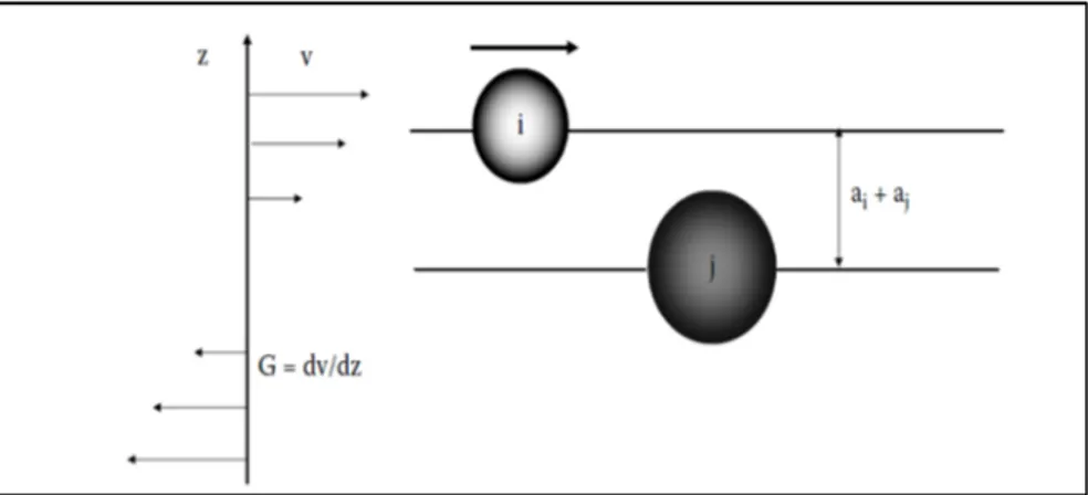 Fig. 3.4: Model for orthokinetic aggregation in uniform laminar shear (Gregory, 2006) 