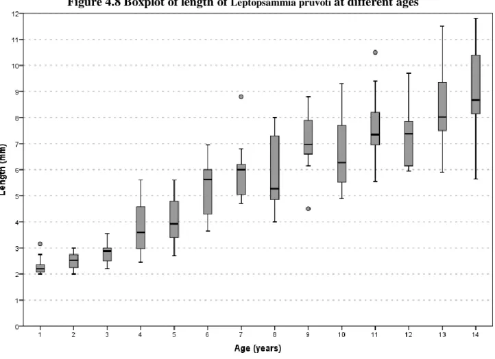 Figure 4.8 Boxplot of length of  Leptopsammia pruvoti  at different ages