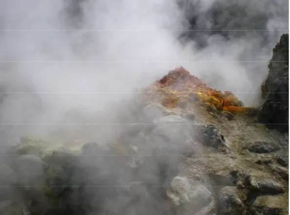 Fig 14. – Solfatara volcano, fumarole BN 