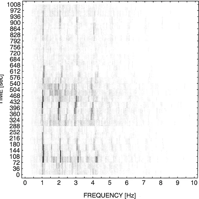 Fig. 7. Spectrogram of tremor recorded at Mt. Semeru with 10 harmonics clearly visible