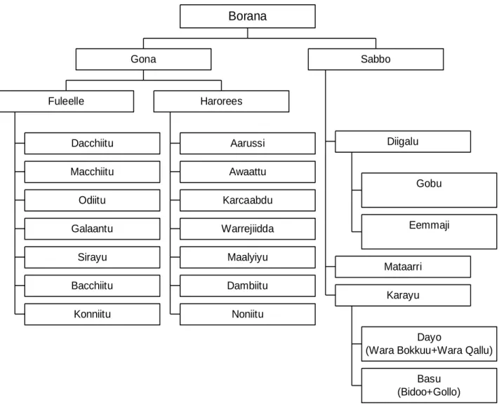 Figure 3. The Genealogy of the Oromo-Borana 202