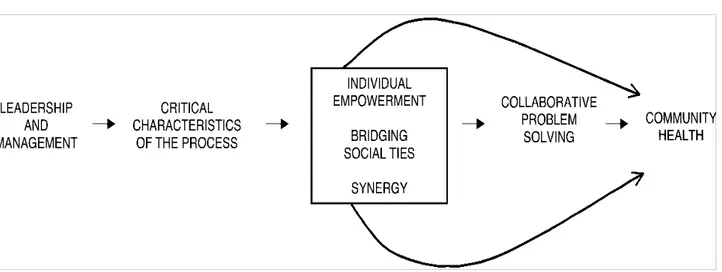 Fig. 2.5: Sviluppo della Community Health Governance