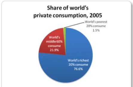 Figura 2-1: Distribuzione del consumo delle risorse tra le diverse fasce di popolazione nel mondo