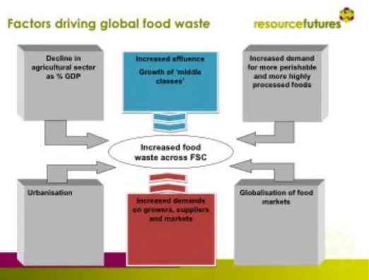 Figura 3-1: Fattori che influiscono sull'aumento della produzione di rifiuti agroalimentari 