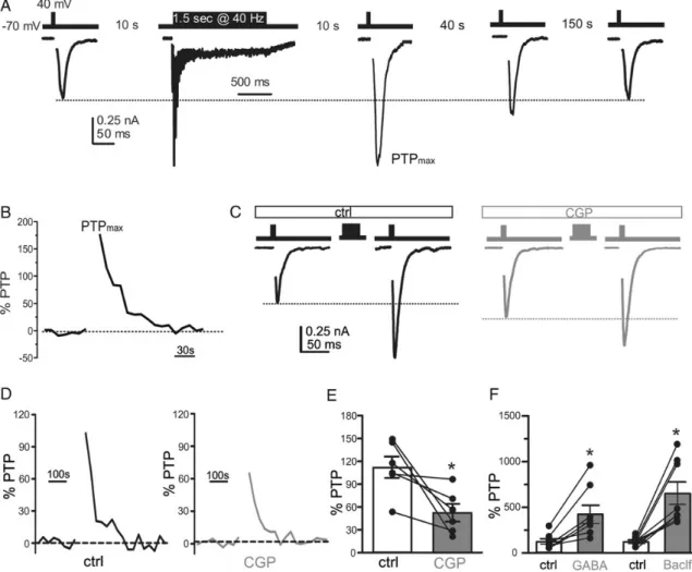 Figure 9. GABA corelease modulates PTP. (A) The experimental protocol used to investigate PTP was based on single stimuli applied at basal stimulation frequency (0.1 Hz) followed by a train of 1.5 s at 40 Hz, resumed, and repeated until the EPSC amplitude 