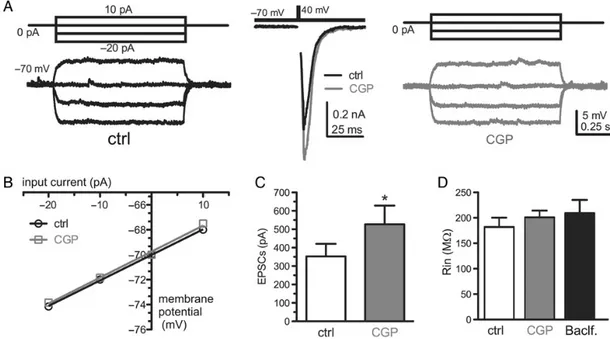 Figure 5. GABA release in excitatory autaptic GCs did not activate postsynaptic GABA B Rs