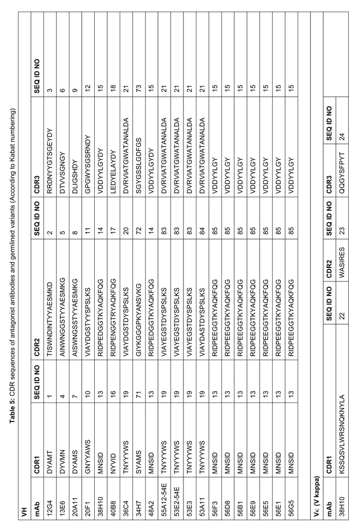 Table 5: CDR sequences of antagonist antibodies and germlined variants (According to Kabat numbering) VH mAbCDR1SEQ ID NOCDR2SEQ ID NOCDR3SEQ ID NO 12G4DYAMT1TISWNDINTYYAESMKD2RRDNYYGTSGEYDY3 13E6DYVMN4AINWNGGSTYYAESMKG5DTVVSGNGY6 20A11DYAMS7AISWNGSSTYYAES