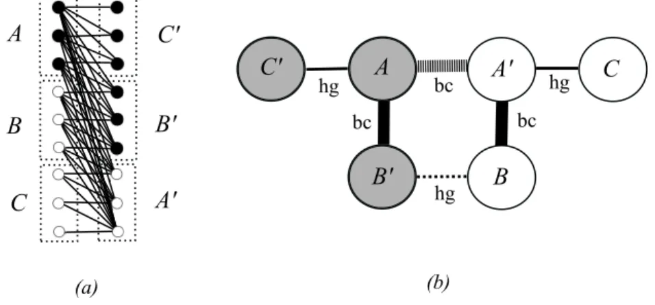 Figure 1. The structure of the optimal bipartition in the half graph. (a): standard representation; (b): a schematic  representa-tion of the communities: ‘hg’ stands for a half-graph connectivity between two communities of size k (involving k(k + 1)/2 edge