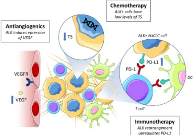 FIG. 1 Chemotherapy, immunother- immunother-apy, and antiangiogenic agents in  ALK-driven NSCLC