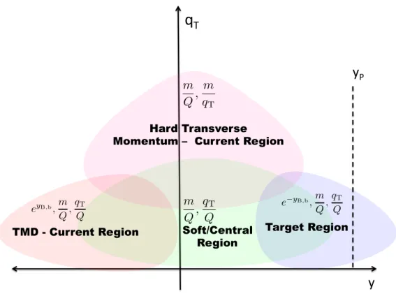 Figure 8. Sketch of kinematical regions of SIDIS in terms of the produced hadron’s Breit frame rapidity and transverse momentum