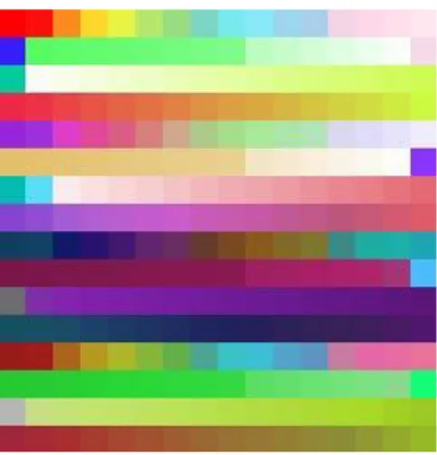 Figure 2.1 Enlarged image of a file of 16 x 16 pixels, consisting in 256 different unique colors