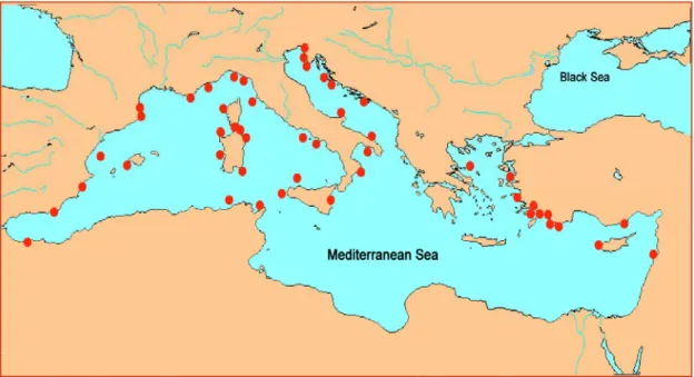 Figure 1.1: Marine Protected Areas in the Mediterranean Sea, December 2003  (Rais C., 2003), Modified