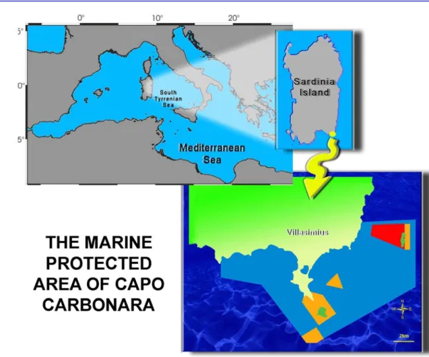 Figure 1.2: Location of the Marine Protected Area. 