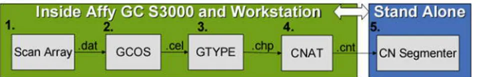 Figura 5. Flusso dei dati generati dalla scansione dei GeneChip attraverso gli  applicativi del GeneChip Human Mapping 500K Assay 