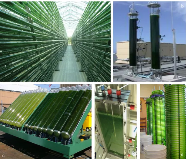 Figure  4. Example  of closed  cultivations systems: a) tubular horizontal photobioreactor (Bioprodukte- (Bioprodukte-steinberg.de),  b)  column  photobioreactor  (Bioenergy  Noe,  2012),  c)  inclined  column  photobioreactor  (algaebiodiesel.com), d) fla