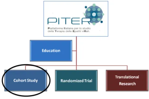 Figure 9. PITER: platform and HCV cohort study 
