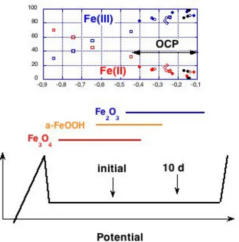 Figure 9:  Proposal for a comprehensive picture of passive state of iron in alkaline solutions  combining information from OCP, in-situ Raman spectroscopy and ex-situ XPS surface  analysis 