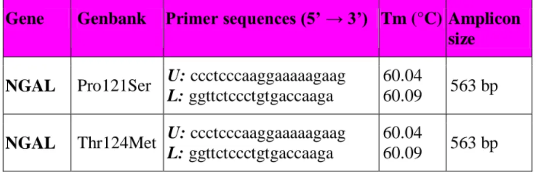 Table  7.  Schematic  summary  of  the  primers  used,  the  Tm  and  the  size  of  the  amplicon