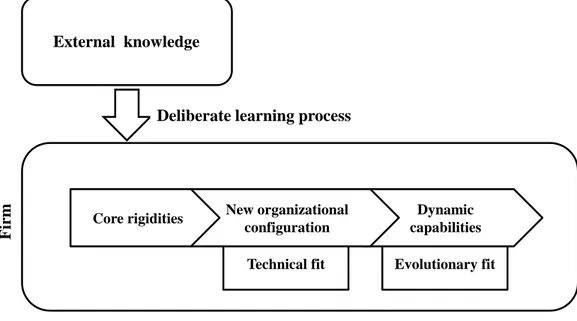 Figure 1.4 Theoretical model of capabilities change process 