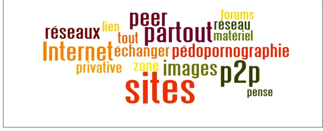 Figura  9:  Word  clouds  della  risposta  &#34;Quels  sont  les  lieux  virtuels  intéressés  par  la  pédopornographie?&#34; 