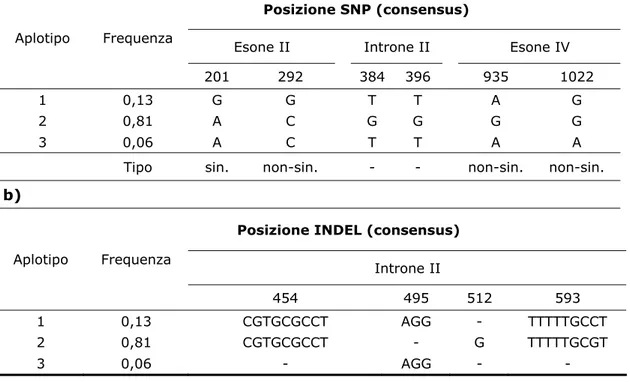 Tabella 6. Posizione, frequenza e varianti dei siti polimorfici per aplotipo. a)  SNP; b) INDEL 