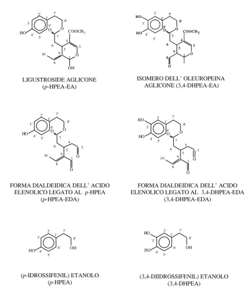 Figura 3. Struttura chimica dei secoiridoidi derivati e dei fenil-alcoli presenti nell’olio vergine di oliva (Servili et al., 2009).