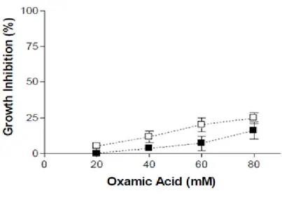 Figura  8.  Riduzione  dei  livelli  di  ATP  causate  da  OXA  nelle  cellule  PLC/PRF/5  coltivate  in  DMEM  standard  (a  sinistra) o in mezzo privo di glucosio (a destra) (vedi Materiali e Metodi)