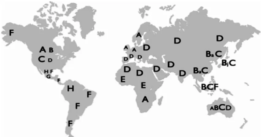 Figura 4: distribuzione geografica dell’ infezione