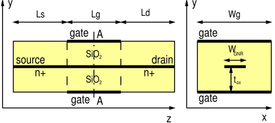 Figure 2.1: Longitudinal and transverse cross-sections of the simulated GNR- GNR-FETs.