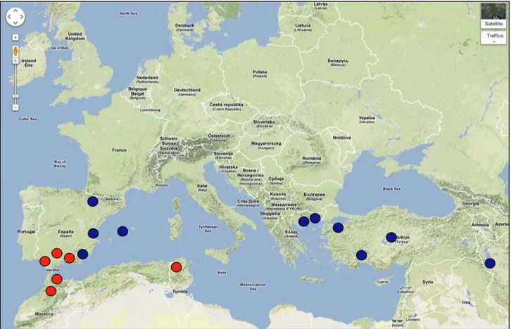 Figure 2.3: map of the European colonies. Red spots represent M. emarginatus colonies, while blues M